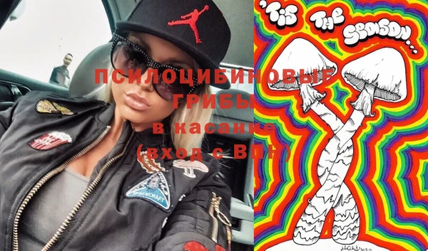 МДПВ Алзамай