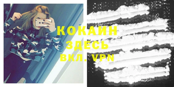 шишки Абдулино