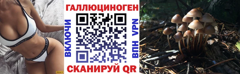 Галлюциногенные грибы прущие грибы  купить наркотик  OMG вход  Таштагол 